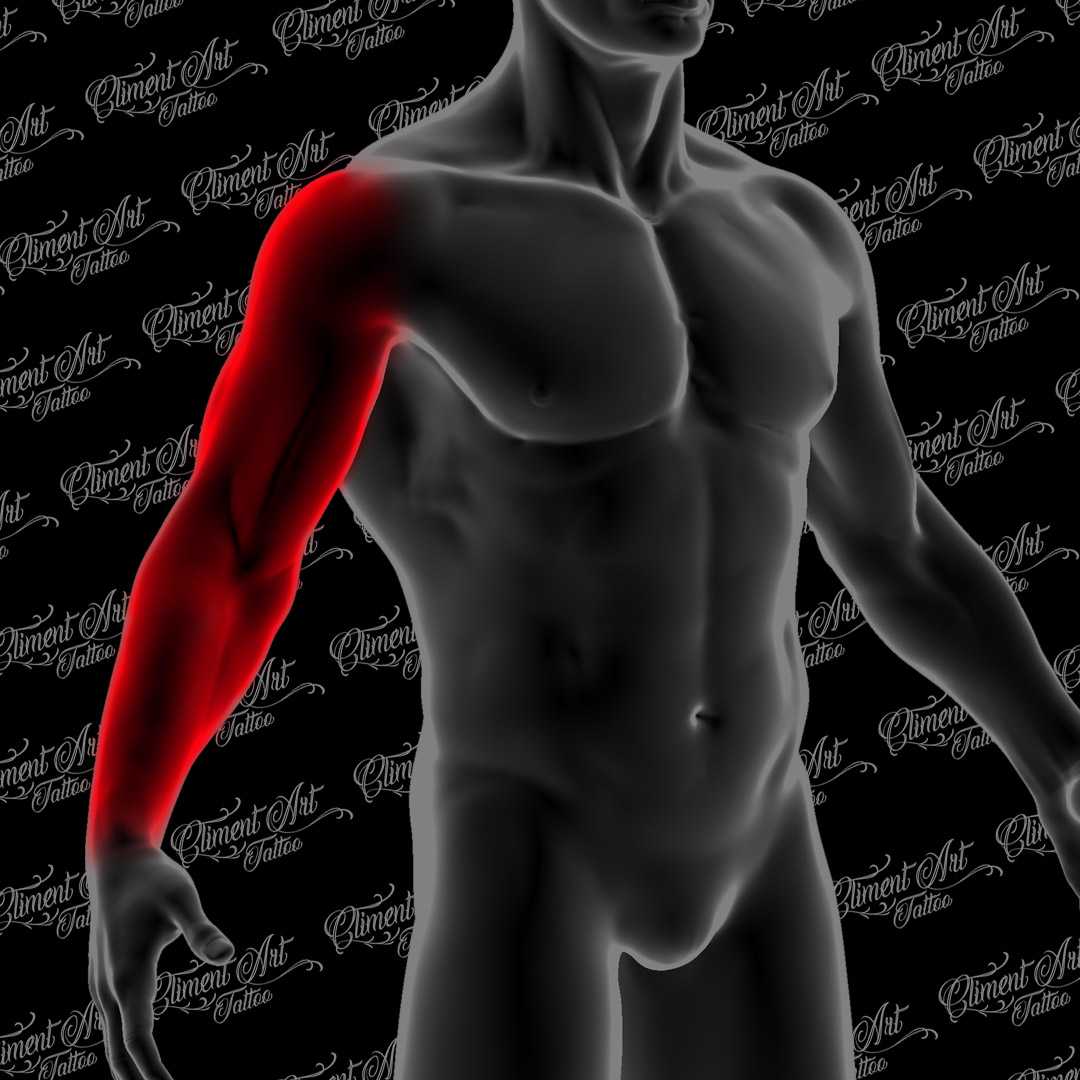 Brazo | Manga entera