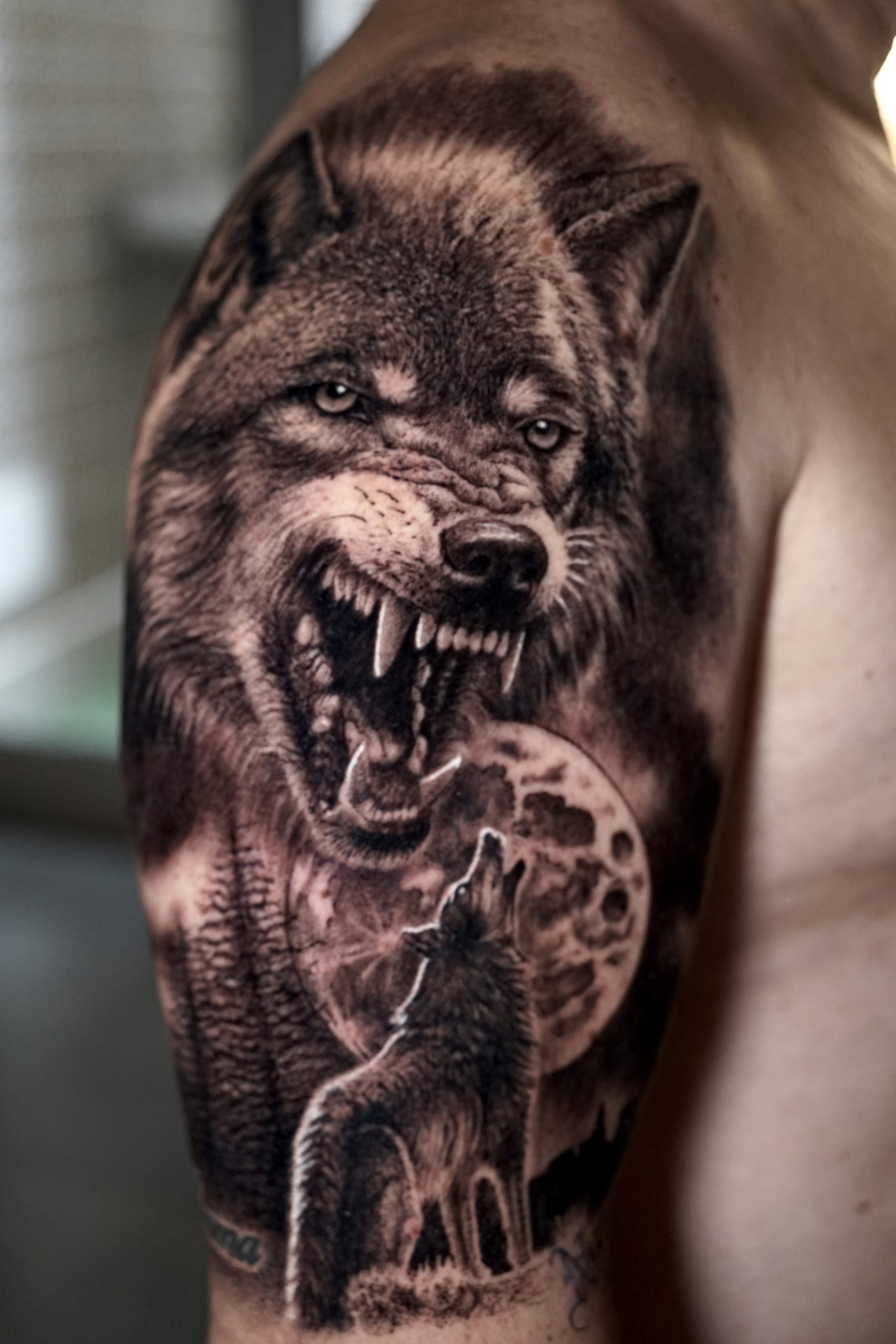 Lobo