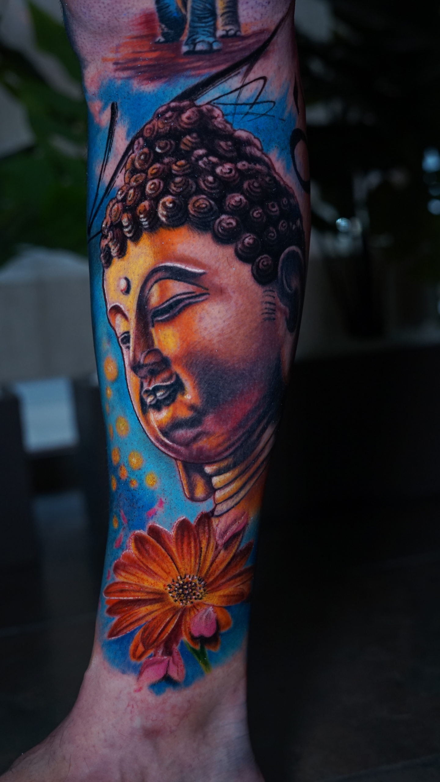 Piernas India y México